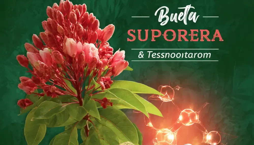 Butea Superba And Testosterone Production - Does it Help?