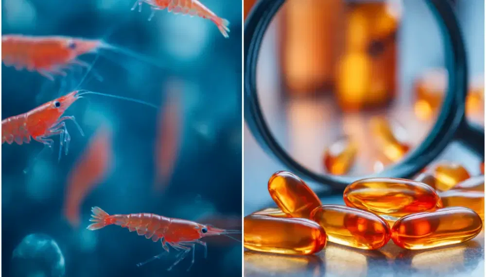 Krill Oil Explained: Benefits, Supplements, and How It Stacks Up Against Fish Oil