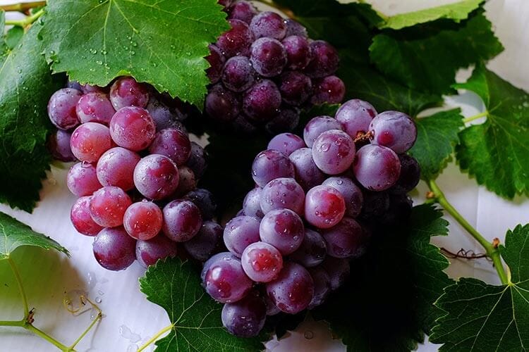 Grape Seed Extract For Testosterone - Does it really work?