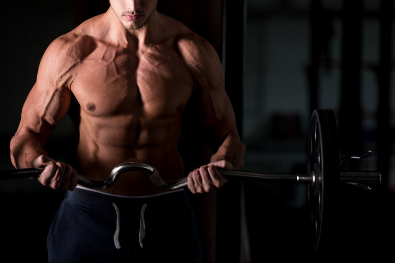 What is bulking and cutting? The Ultimate Guide.