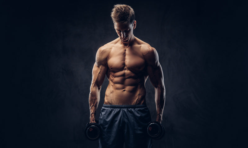 The best lower chest workout