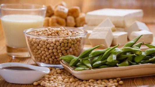 Does Soy Reduce Testosterone Levels?